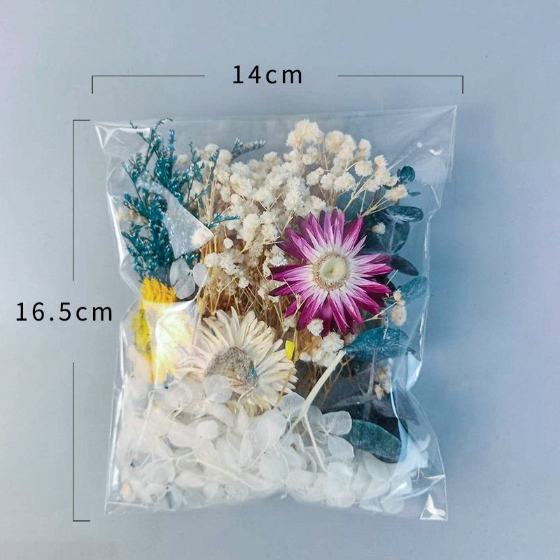 1パック多種多様なドライフラワーセットDIYクラフトホームウ - Craft Embellishments のレビューと価格